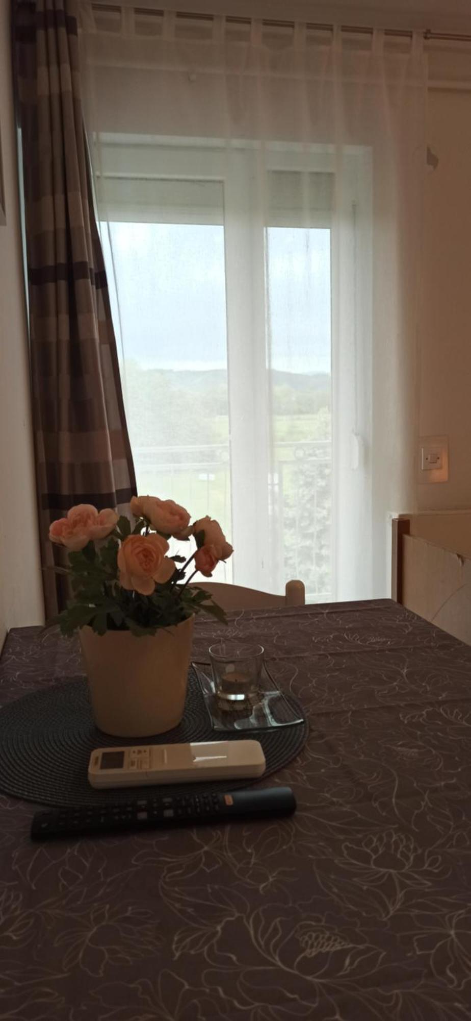 Studio Apartmani Ok Lipik Номер фото